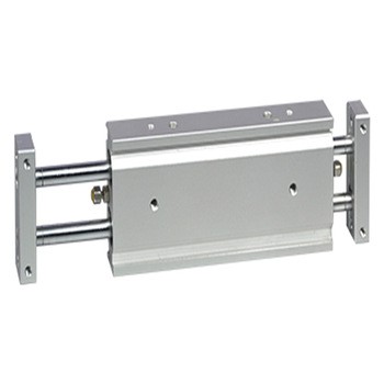 SMC Type CXSW Series Double Rod Pneumatic Cylinder Slider Unit Cylinder